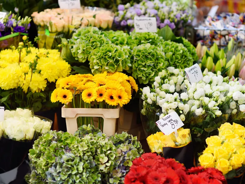 שוק הפרחים של אמסטרדם (Bloemenmarkt)