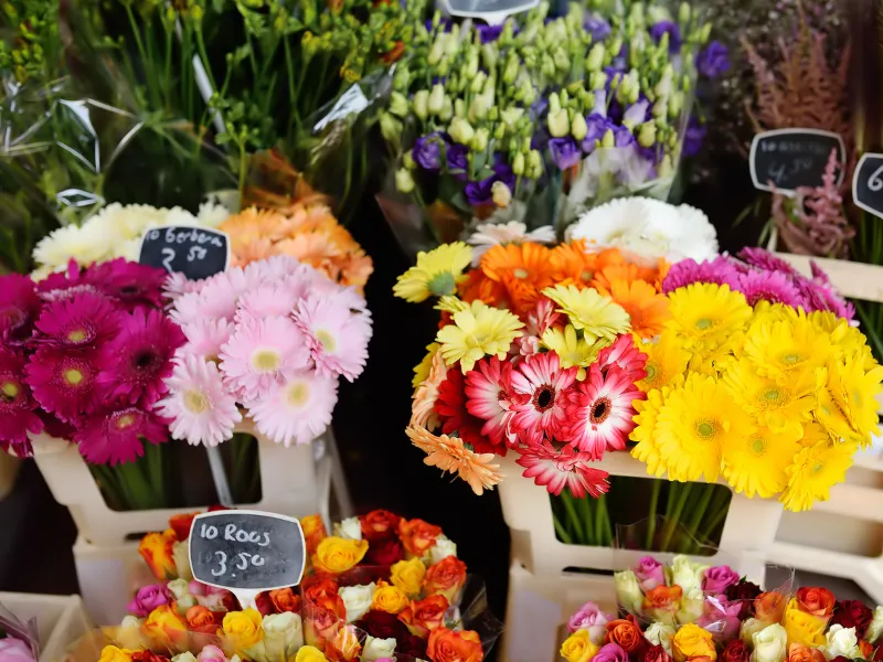שוק הפרחים הצף של אמסטרדם – בלומנמרקט